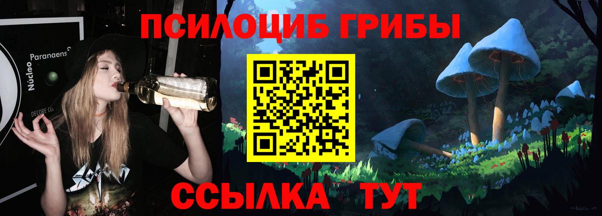 Галлюциногенные грибы Psilocybe Новоалтайск