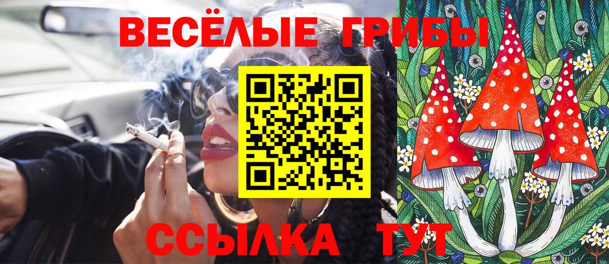 Галлюциногенные грибы Psilocybe  Вход с VPN  Новоалтайск 